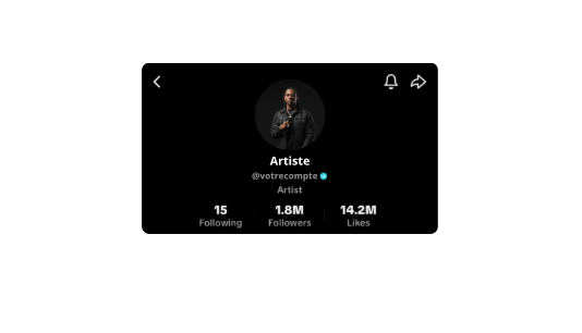 Certification TikTok