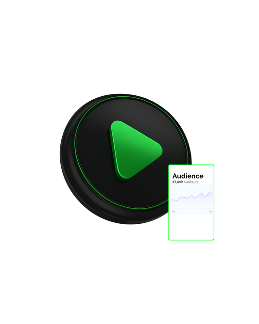 5,000 Youtube Views / Spotify Streams