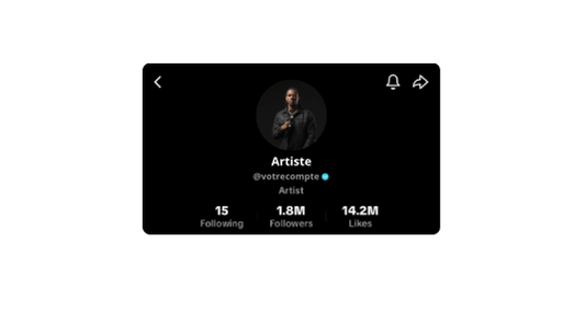 Certification TikTok